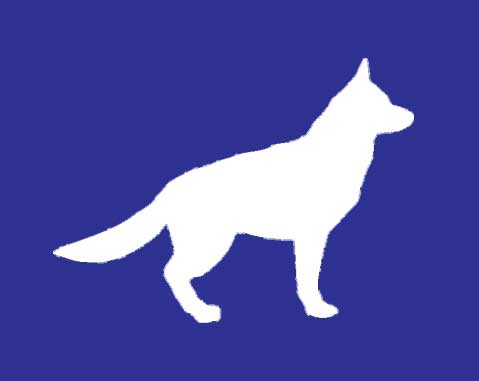 Tiersuche Image